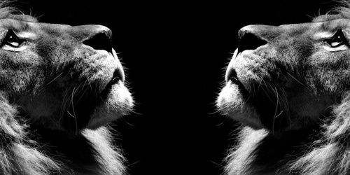Agzi's profile banner image