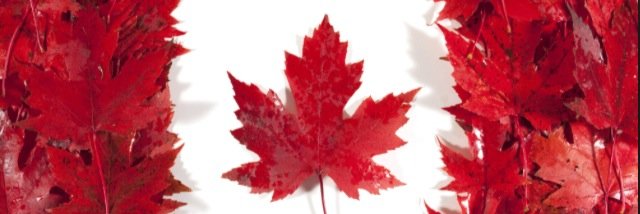 peightonblue's profile banner image