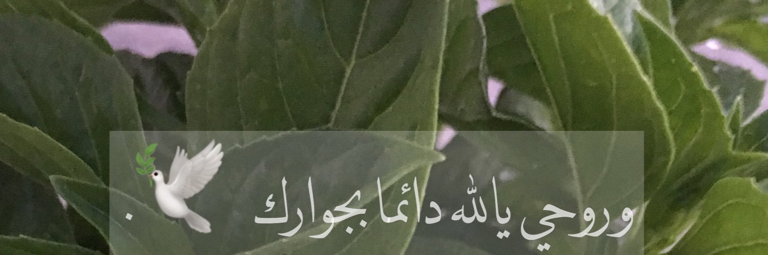 taaei1818's profile banner image