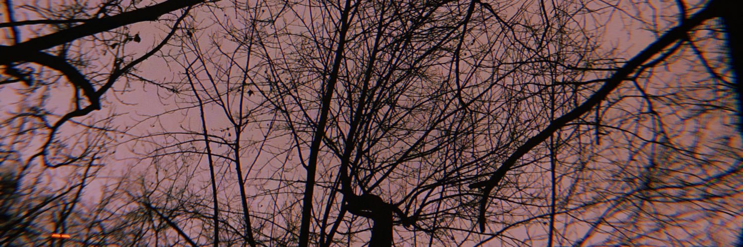 yeezybreazy's profile banner image