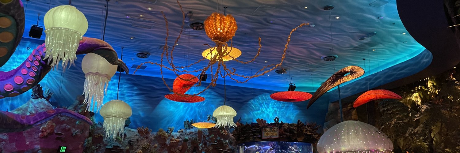 Anndor is a trash panda. banner