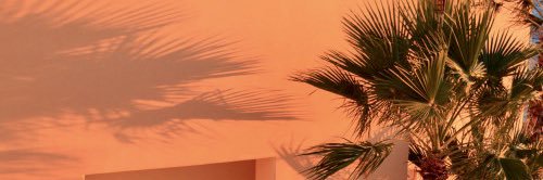 fxdenice's profile banner image