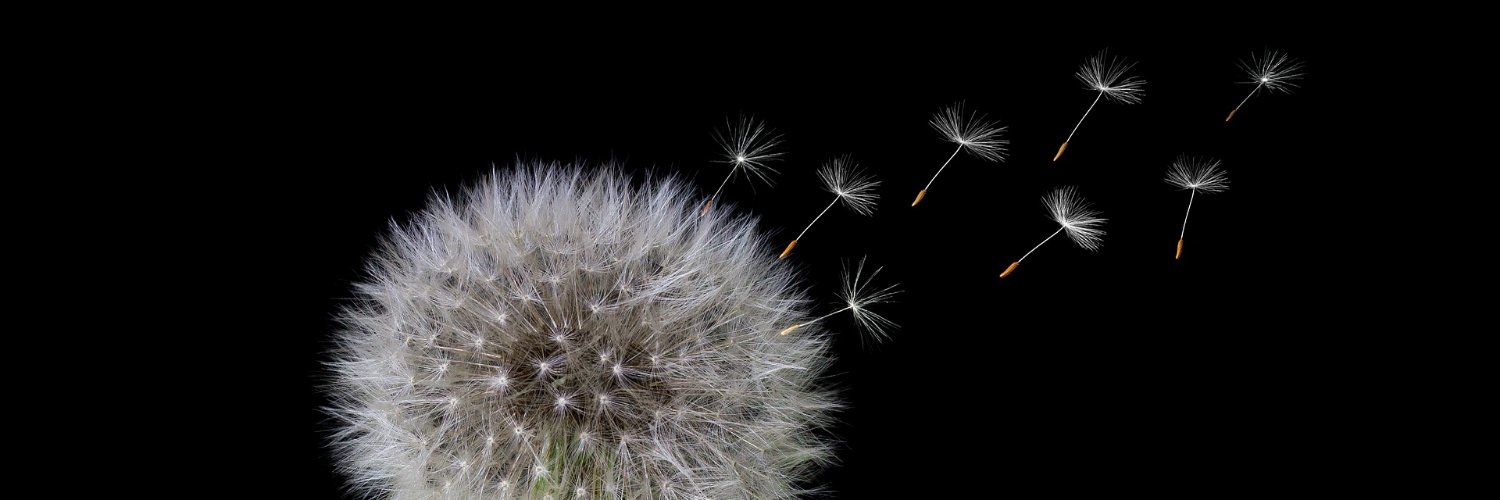 Lιƚƚʅҽ Pιɳƙ Wιƚƈԋ banner