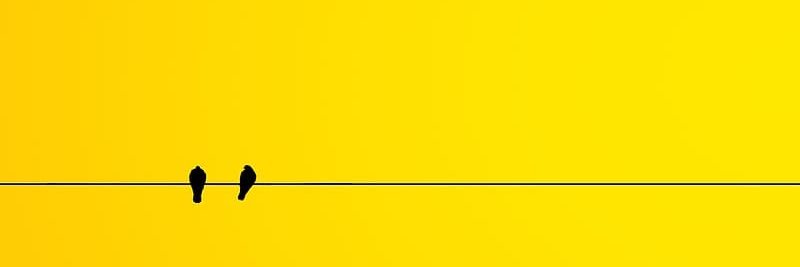 _theSuLtan's profile banner image