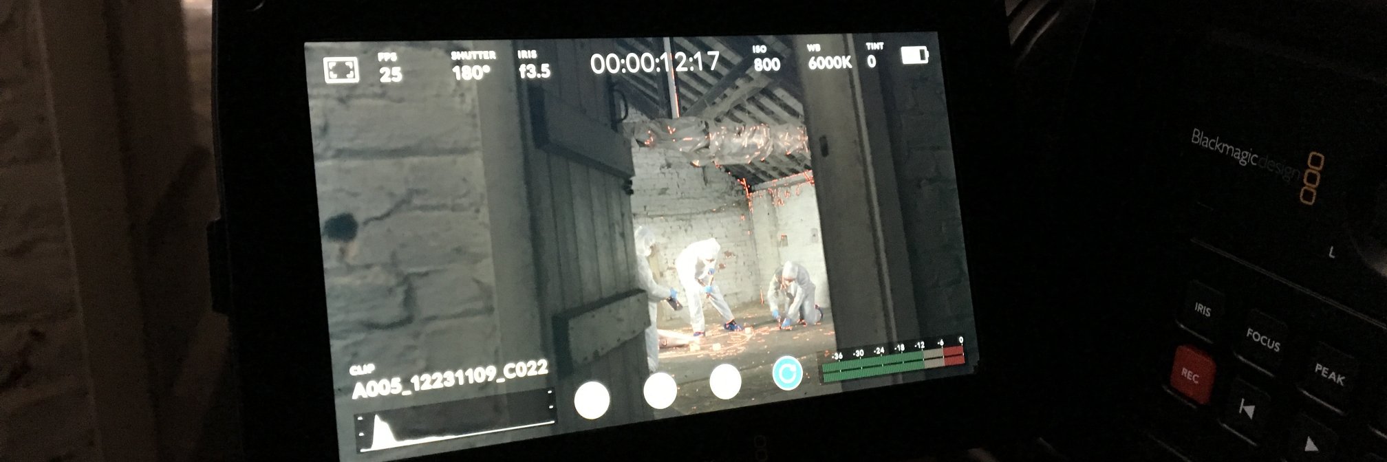 Into Productions banner