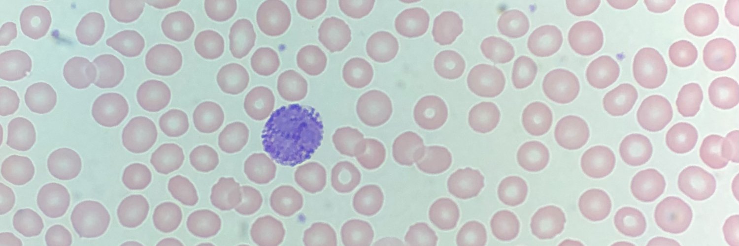 Amber M Yates, MD banner