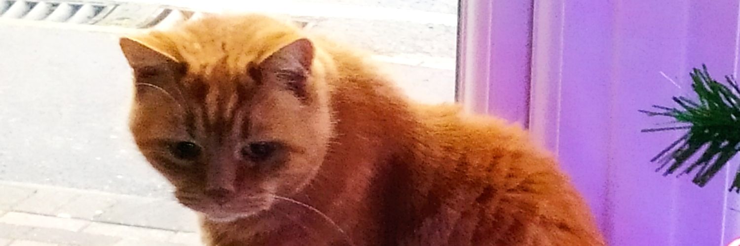 tish124's profile banner image