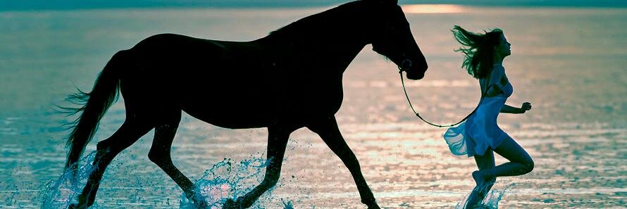 Olena7582's profile banner image