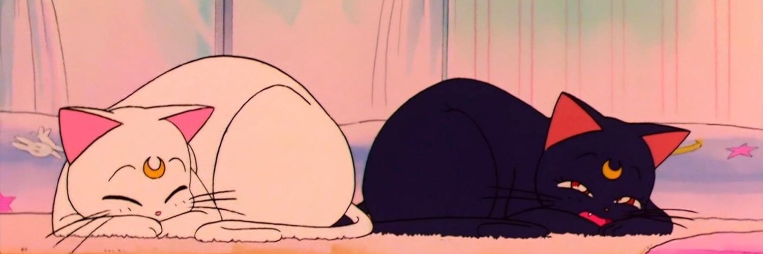Pastel_Peach_'s profile banner image