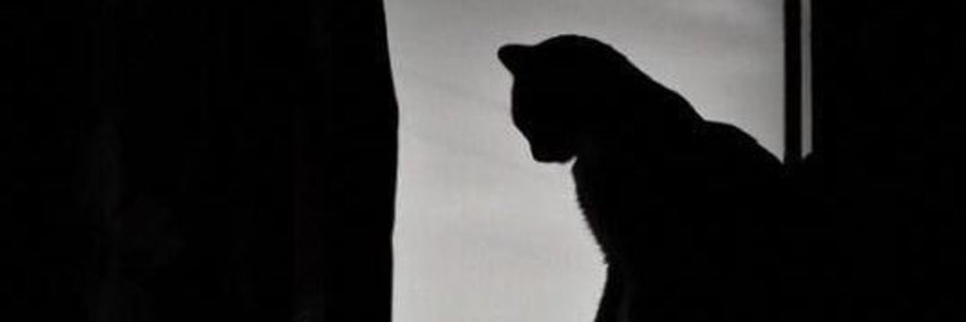 cmaryclaros's profile banner image