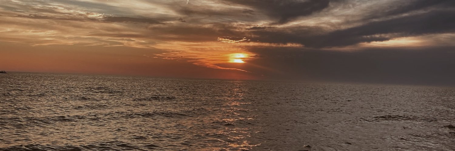 sara_hoch's profile banner image