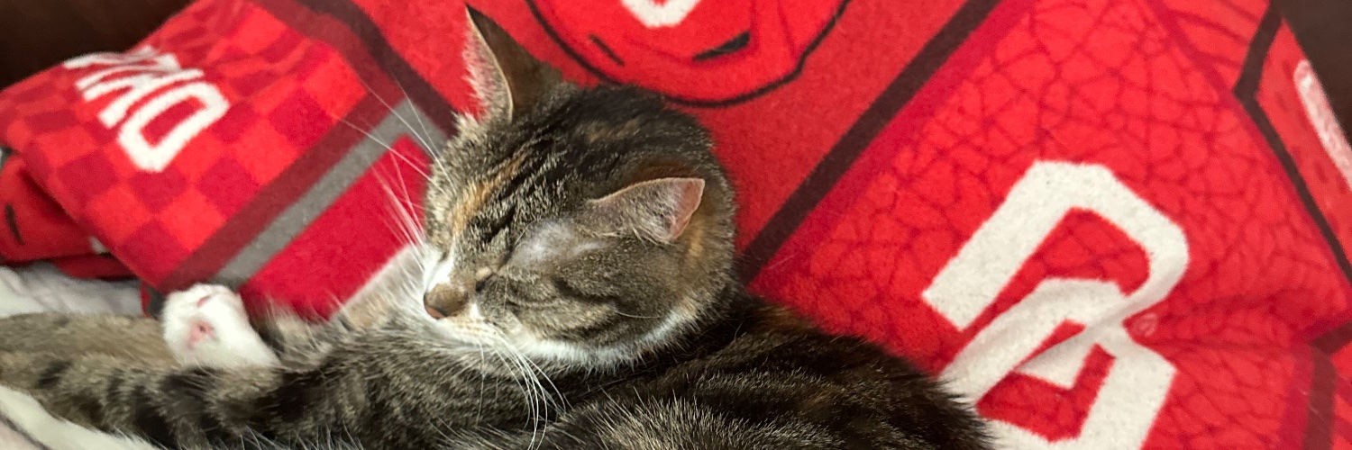 Spydermat's profile banner image