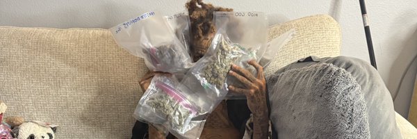 GakGonSlide Profile Banner