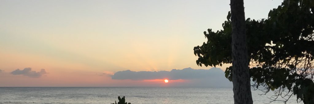 rebeccaberky's profile banner image