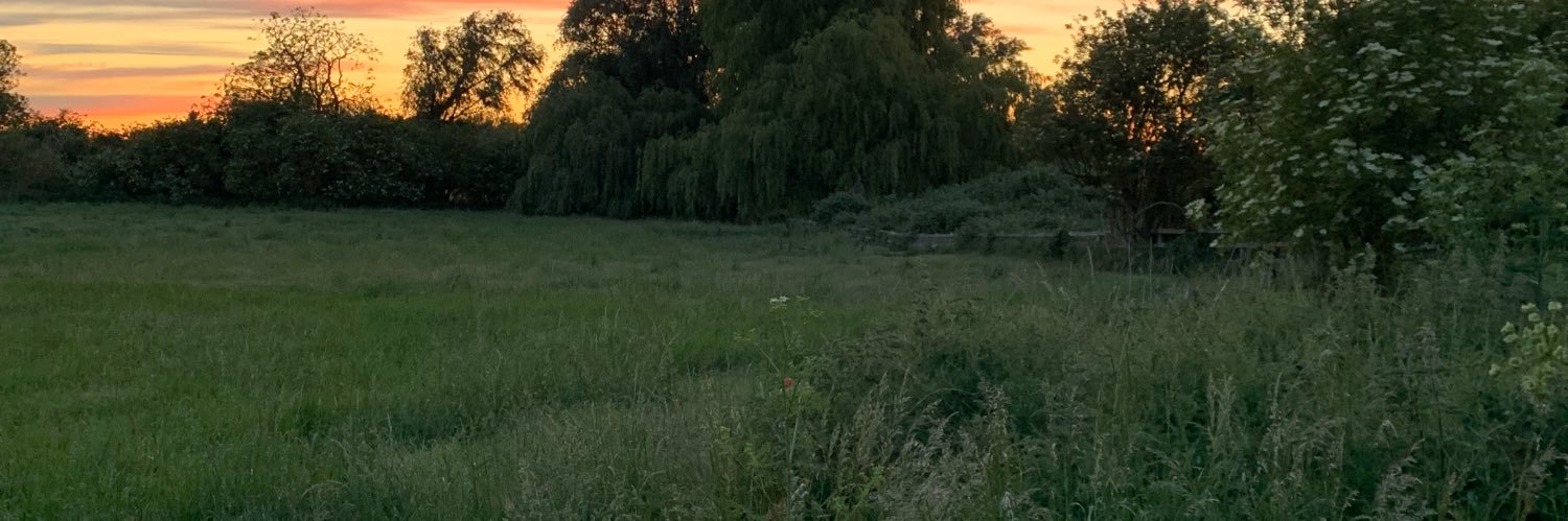 Patsgang's profile banner image