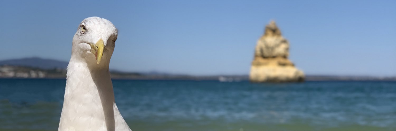 Meggy Hurenkamp banner