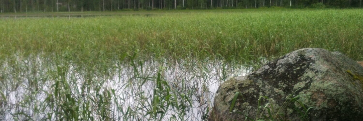 FuruholmTarja's profile banner image