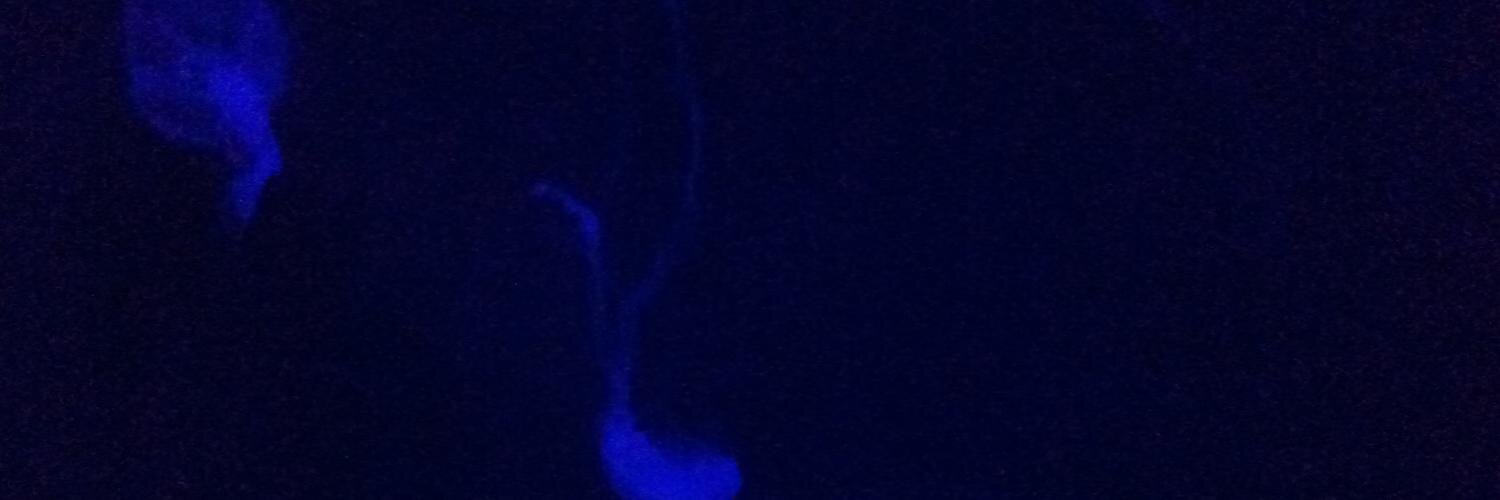 darkarmors's profile banner image