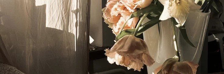 ✩ banner