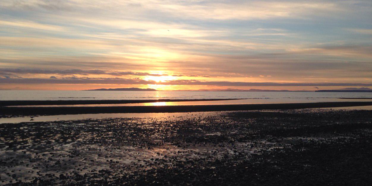 Jennifer Wadge banner