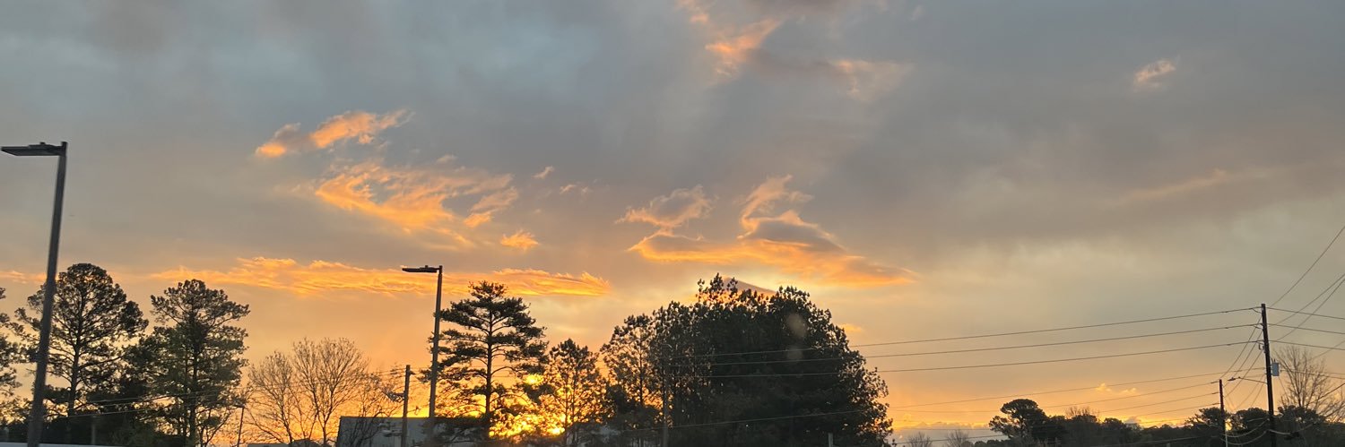 litzynavaa's profile banner image