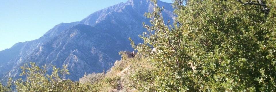 TrailAngelList's profile banner image