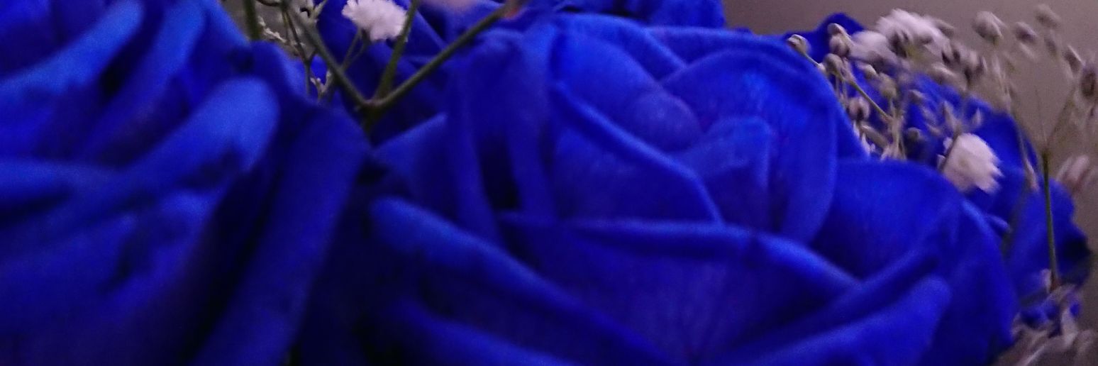 clearbluesky01's profile banner image