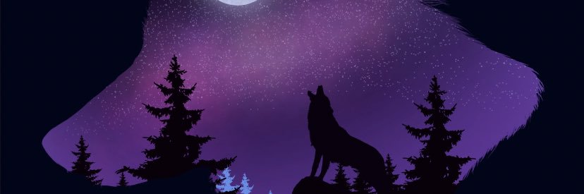 lone_wolf1303's profile banner image
