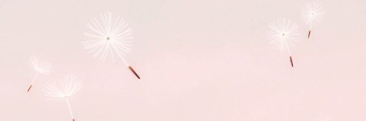 elanz0's profile banner image