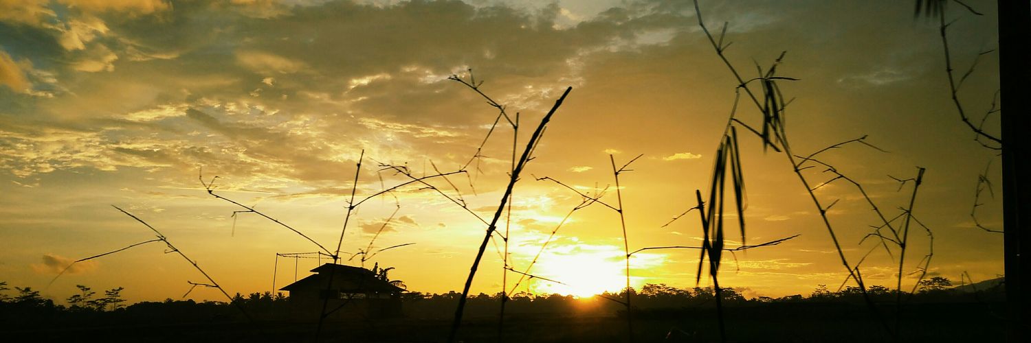 hasnalaely's profile banner image