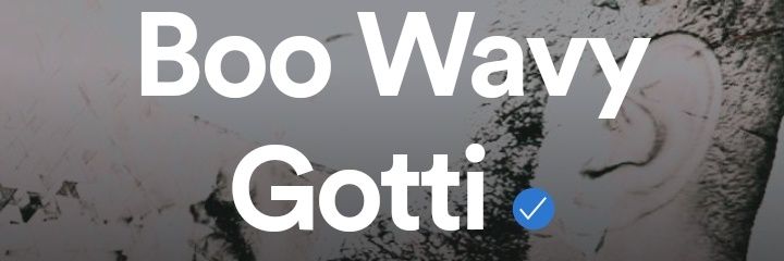 BooWavyGotti's profile banner image
