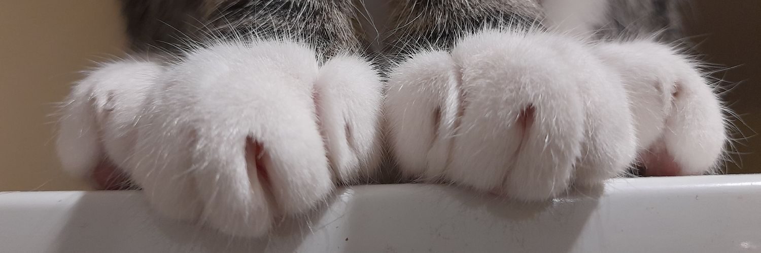 vickybarbetti's profile banner image