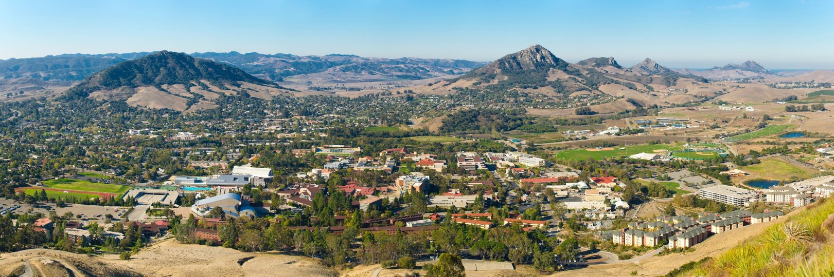 Zachary Peterson banner