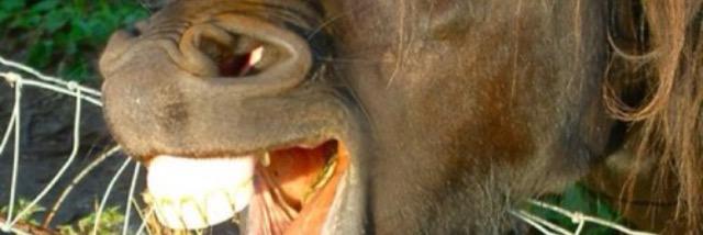 sebatorresd's profile banner image