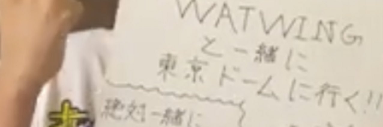 maiptaip's profile banner image