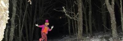 ParklandCryptid's profile banner image