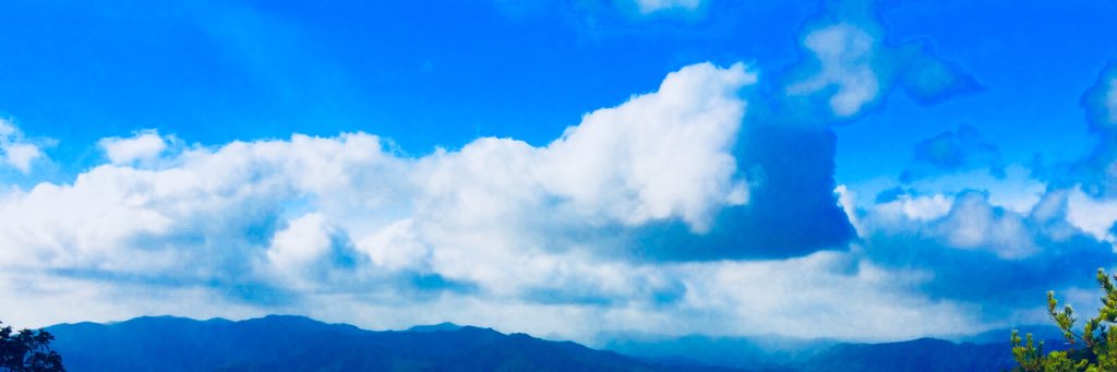 dirnekodrum's profile banner image