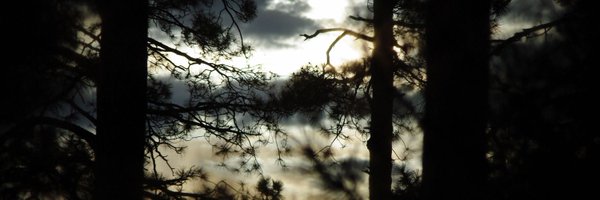 imanuglymess Profile Banner