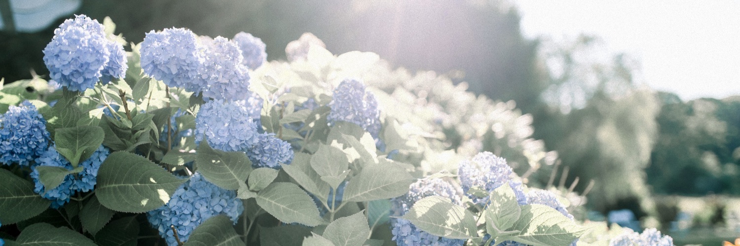 ESTcoastxx's profile banner image