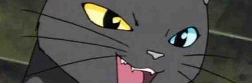 CultureShitWorm's profile banner image