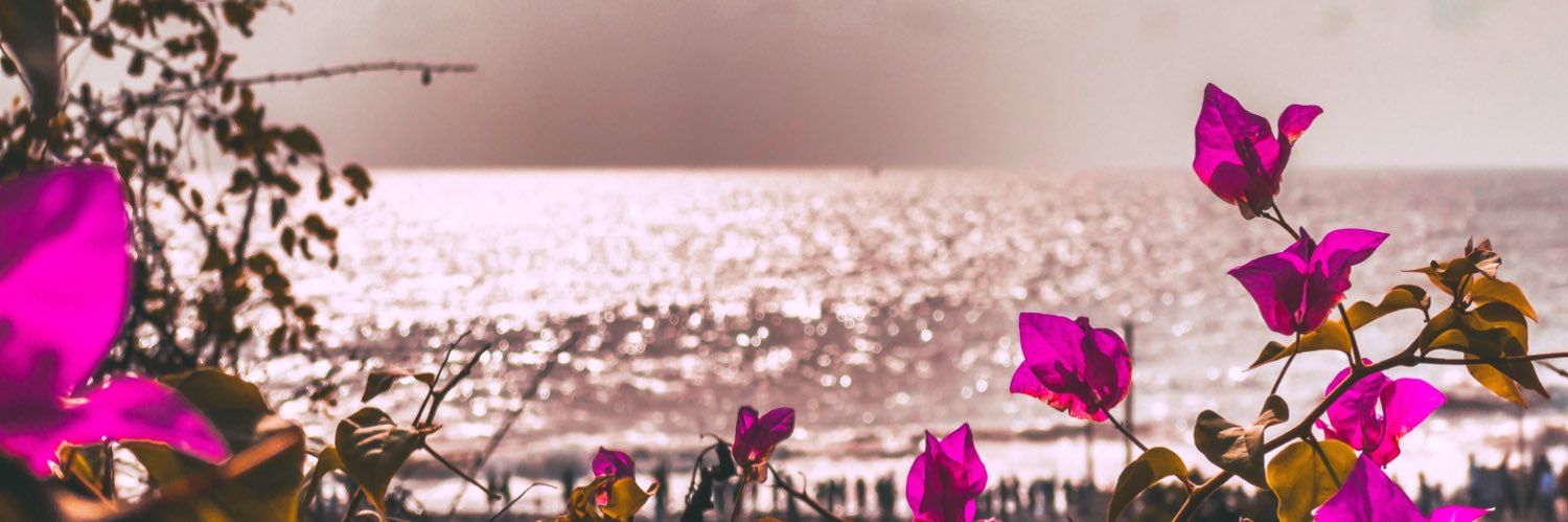 ShamoilQ's profile banner image