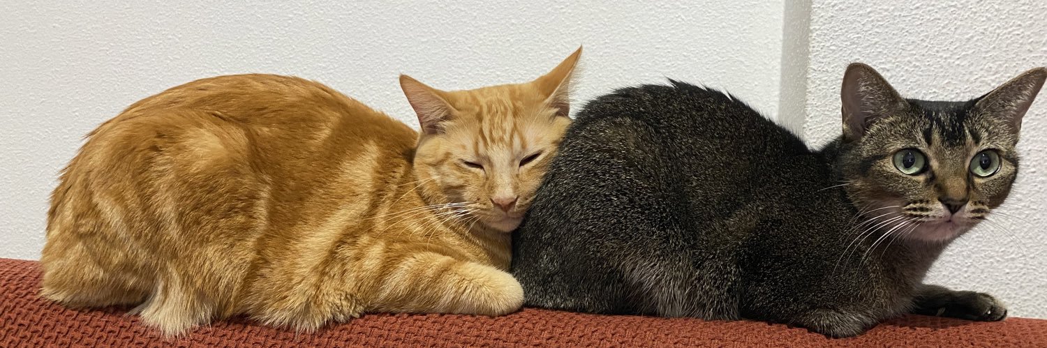 Turbolivares - Atmospheric Enjoyer banner