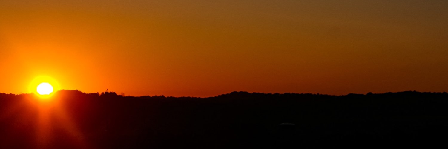 Feola_'s profile banner image