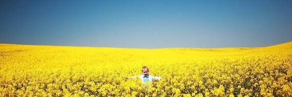 Dmutro_UA's profile banner image
