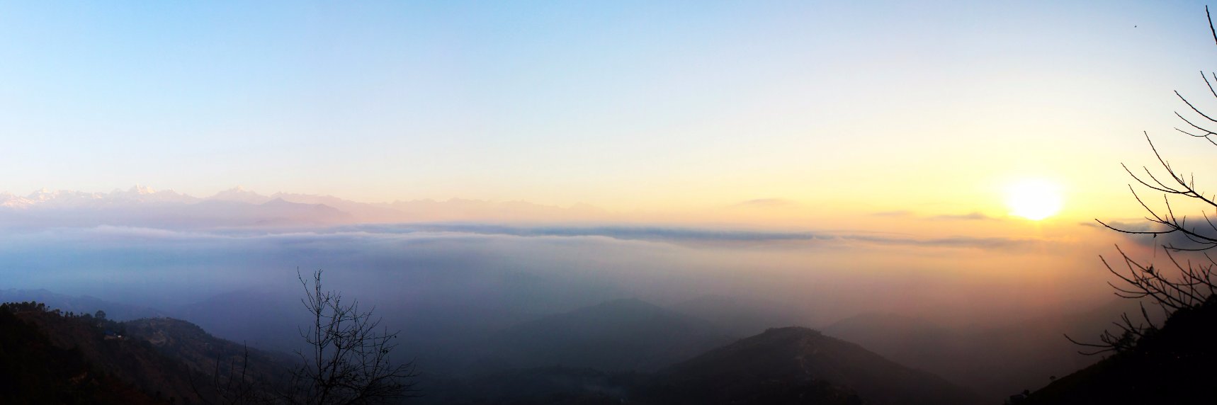 Tracy Sockalosky banner