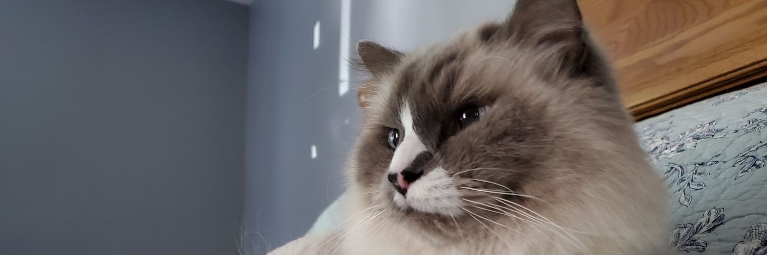 EmmaTompkins1's profile banner image