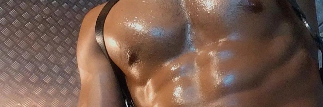 srpuppyleather's profile banner image