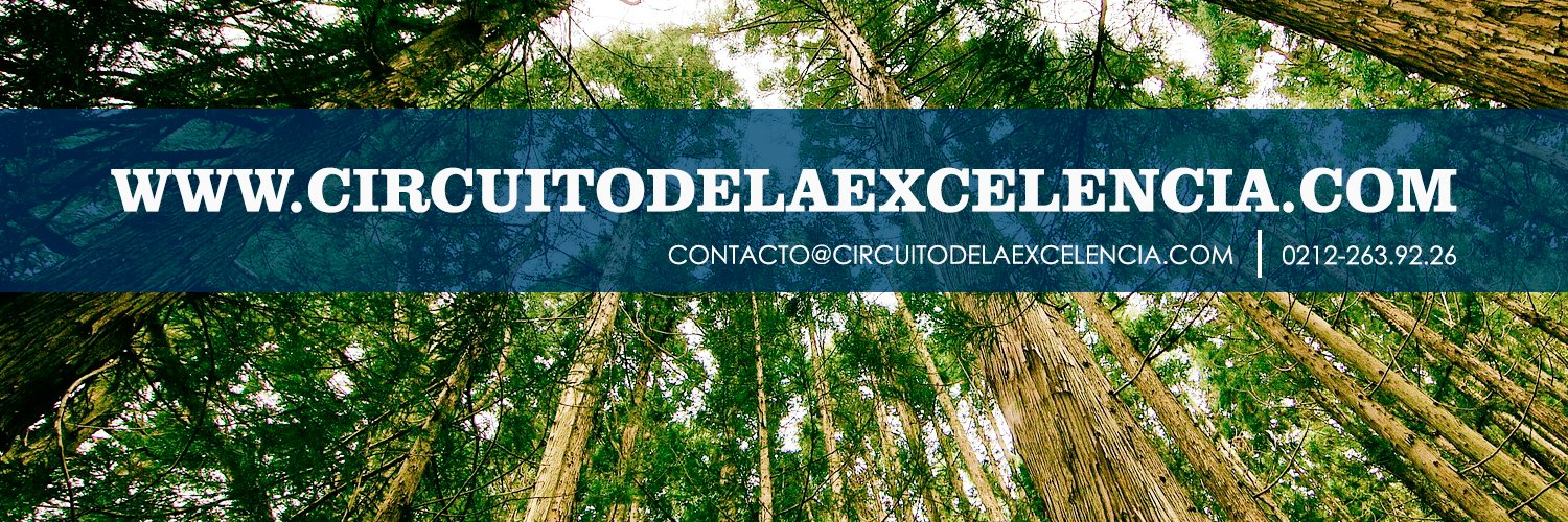 dexcelencia's profile banner image