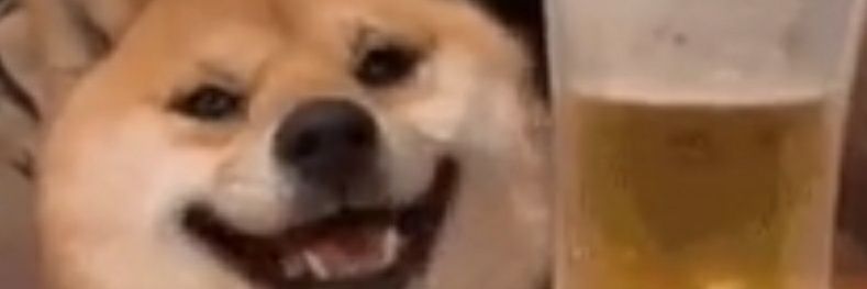 Jesse Niemenmaa banner