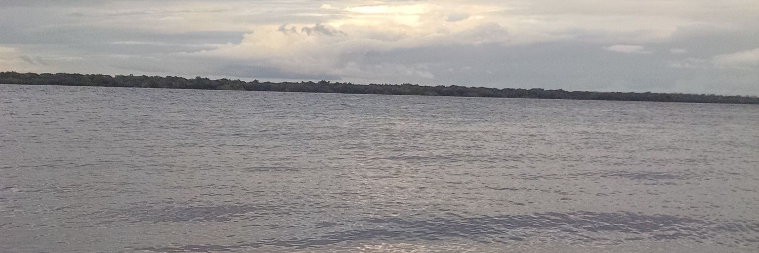 NESTORMERLI007's profile banner image
